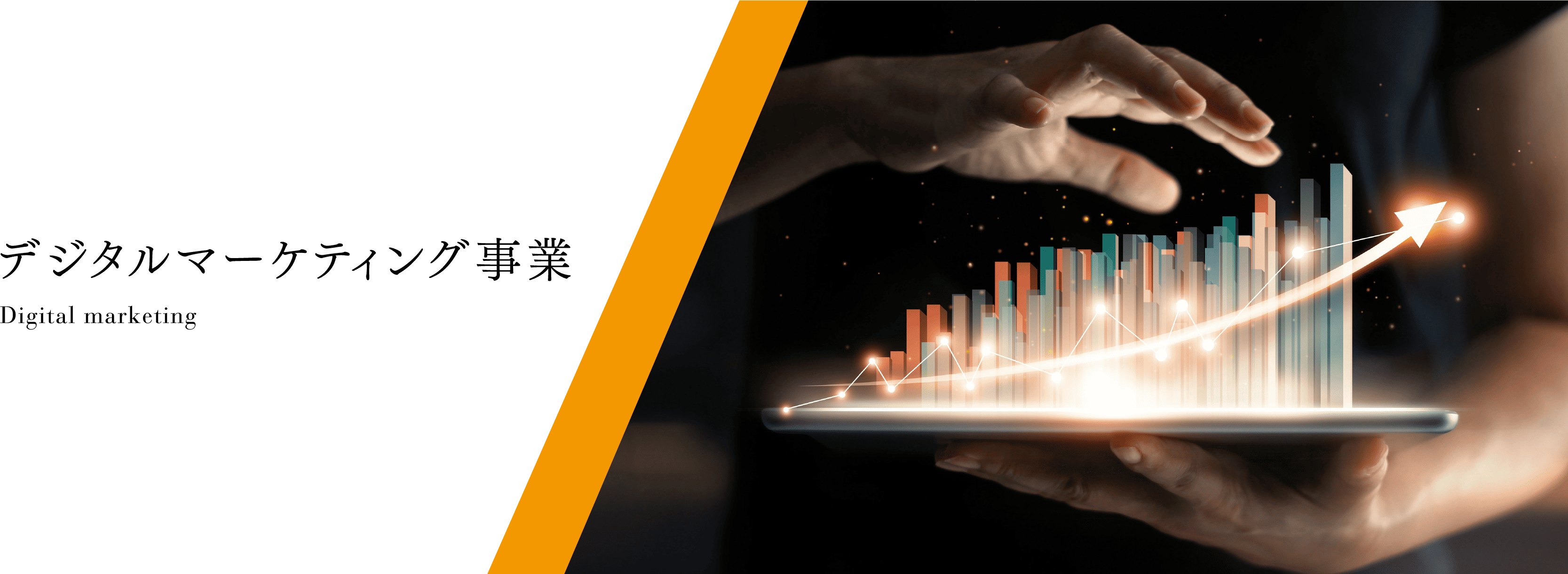 デジタルマーケティング事業