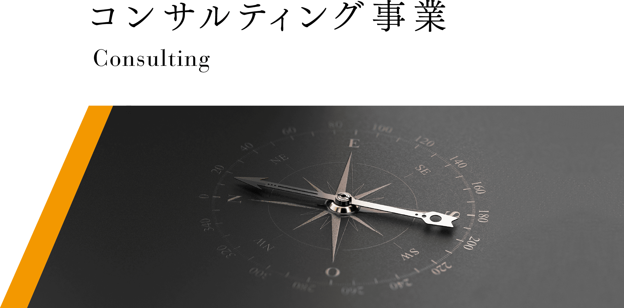 SP用コンサルティング事業