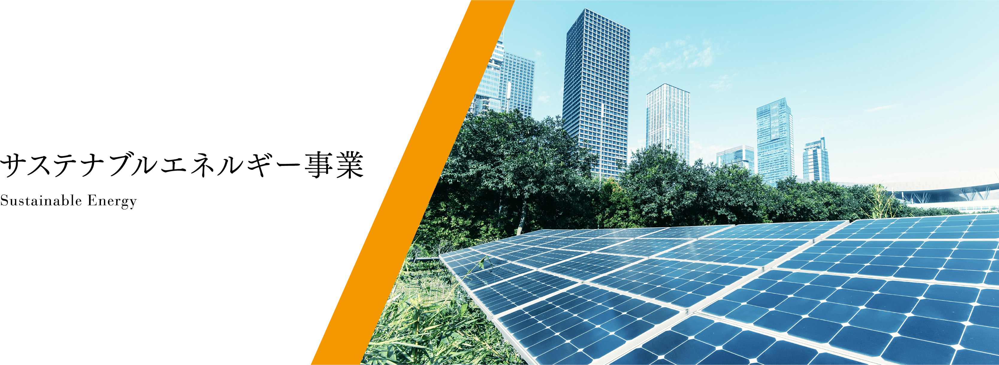 サステナブルエネルギー事業